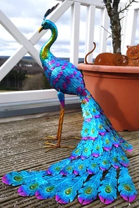 Wunderschön Blauer Pfau Asiatischer Pfau Eisen Haus Garten Deko 72x60cm NEU N208 - Bild 1 von 7