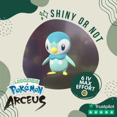 SHINY LIVING DEX Piplup Shiny ✨ Legends Pokémon Arceus 6 IV Max Effort Custom OT Leggende