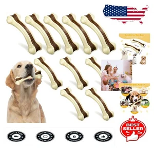 10-Pack Nylon Dog Chew Toys: Durable Beef-Flavored Bones for Medium-Small Breeds - Picture 1 of 9