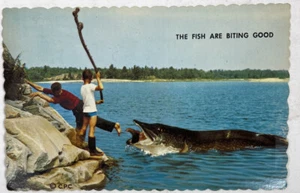 Canada Postcard Exagerrated Jumbo Fish Clayt's Camp Obaboka River Valley Ontario - Picture 1 of 2