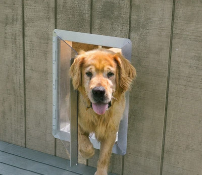 Puerta de perrera Dog Vue para perreras interiores y exteriores, casas para perros y cobertizos Foto 1 de 4