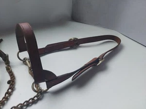 Westernhalfter & 5' Führleine mit 20" Kette Vintage Pferd braun Leder  - Bild 1 von 11