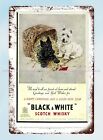 1951 Black & White Scotch Whiskey metal tin sign wall hangings for living room
