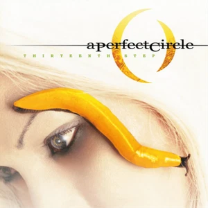 A Perfect Circle Thirteenth Step (Vinyl) 12" Album (Gatefold Cover) - Picture 1 of 2