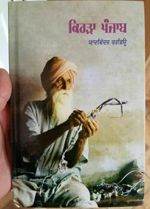 Kehra Punjab Yadwinder Karfew Indian Punjabi Reading Literature Panjab Book B66 - Foto 1 di 10