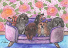dog orig ACEO painting corgi poodle Shih Tzu dachshund pals couch Susan Alison