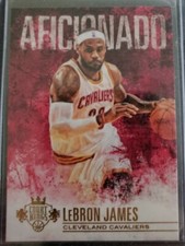 2014-15 Panini Court Kings Lebron James Aficionado
