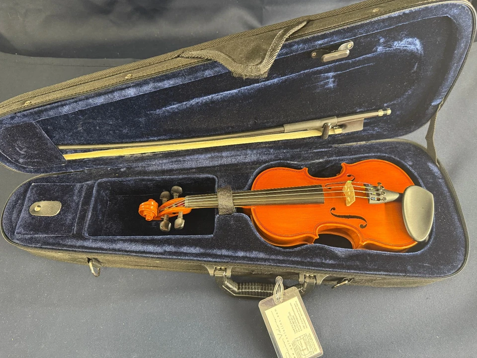 Traje de violín Eastman modelo 80, etiquetado como "Les Etoiles", 2004 Foto 1 de 4