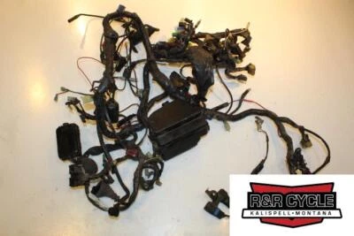 Arnés de cableado del motor principal Honda Goldwing 1500 SE 1995 telar de cable del motor Foto 1 de 4