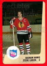 1988-89 ProCards IHL #102 Steve Ludzik