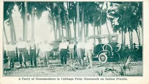 Postcard Homeseekers in Cabbage Palm Hummock on Indian Prairie, Florida - Picture 1 of 2