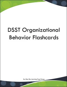 DSST Lernkarten Organisationsverhalten - Bild 1 von 1