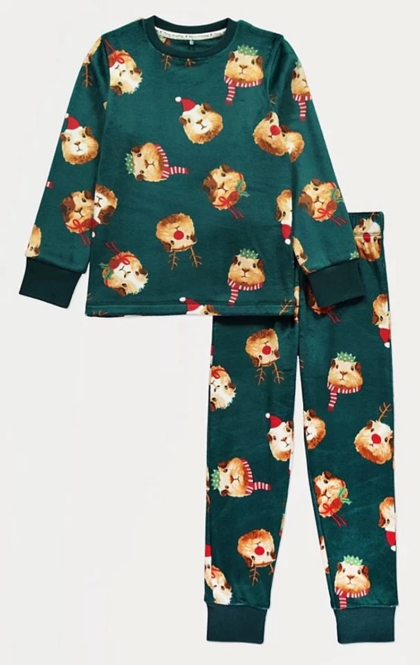 Christmas Family Matching Green Fleece Guinea Pig Pyjamas Mens Ladies Kids - image 1 of 4