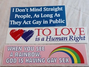 Dios está teniendo sexo gay No me importa gente heterosexual 3 piezas orgullo parachoques juego de pegatinas - Imagen 1 de 5