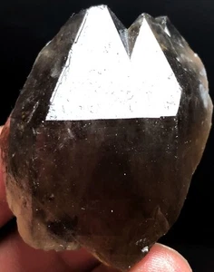 51g 1PC Kullu Valley Natural Smoky Lemurian Quartz Lemuria Crystal Point   K51 - Picture 1 of 7