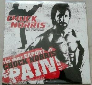 CHUCK NORRIS -COLLECTIBLE VINTAGE 2009 WALL CALENDAR- 12 X 12-FACTORY SEALED - Picture 1 of 2
