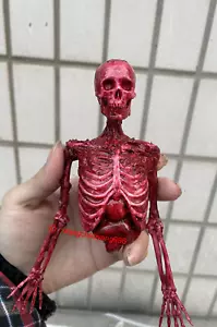 Modelo esqueleto humano esqueleto de sangre de carne de medio cuerpo 1/6 apto para figura de acción de 12 - Imagen 1 de 4