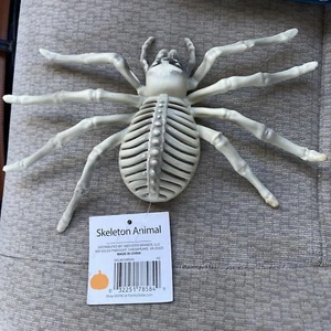 Halloween Tier Spinne Skelett Knochen Simulation Horror Requisite Party gruselig Deko - Bild 1 von 2