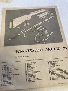 1957 WINCHESTER MODEL 75 ILLUSTRATION SHEET BY JAMES TIGGS - Picture 1 of 1