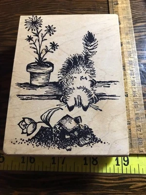 Sello de goma de gato magenta mirando maceta rota debajo del banco WM Foto 1 de 3