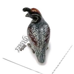 Little Critterz - Gambel's Quail "Sage" Bird - Miniature Porcelain Figurine
