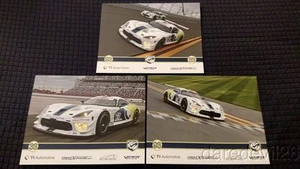 2015 Riley Motorsports Dodge Viper GT3-R Rolex 24 IMSA TUSC Hero Card Set of 3 - Picture 1 of 1