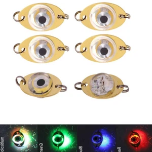 Led Fishing Lure Light Flashing Leds Waterproof Lamp Eye Shape Underwater Lights - Picture 1 of 16
