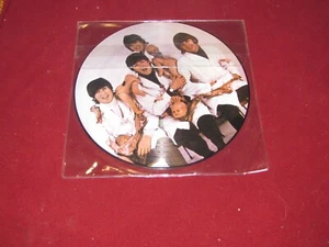 The Beatles Casualties Picture Disc PROMO - Picture 1 of 4