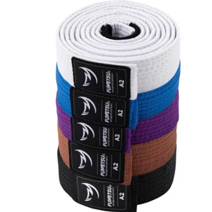 Fumetsu Icon Jiu Jitsu Gürtel BJJ Rang Judo A1 A2 A3 - Bild 1 von 16