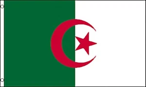 Large 3' x 5' High Quality 100% Polyester Algeria Flag - Free Shipping - Bild 1 von 1