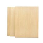9 Pack 1/16 X 9 X 12 Inch Thin Basswood Plywood Sheets for Crafts 9x12 in