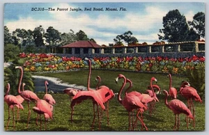 AK Der Papageiendschungel, Rote Straße Miami Florida Flamingos E48 - Bild 1 von 2