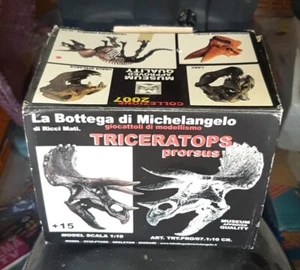 Fossili Triceratops Prorsus Teschi La Bottega Di Michelangelo Triceratopo Bone - Imagen 1 de 2