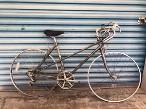 Fuji Espree 49 cm frame- VALite tubing- 12 speed- Vintage Touring-made in Japan - Picture 1 of 10