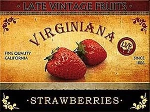 Strawberries ad. steel fridge magnet (na) - Picture 1 of 1