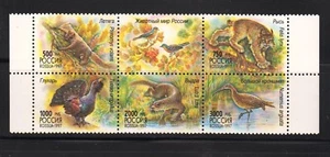 Russia 1997 Mi.#597-601zd Wildlife of Russia (birds and animals) set 5 stamps - Picture 1 of 1