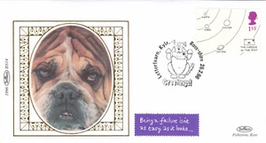Greetings Cartoons GB Benham FDC Letterfearne Kyle Ross-shire 1996 (139922) - Picture 1 of 1