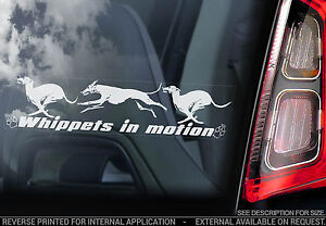 Whippets in Motion - Car Window Sticker - Whippet Snap Dog on Board Sign - TYP3