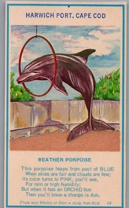 Harwich Port Cape Cod Weather Porpoise Shore Studios Hygroscope Card H4 - Picture 1 of 2