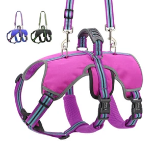 Chaleco para caminar sin tirón para mascotas perros arnés de elevación y correa reflectante suave acolchado suave S-XL - Imagen 1 de 21