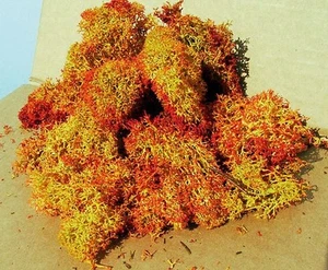 HEKI - Décor pour diorama - 30g - Lichen rouge ombré - - HEK3216 - Photo 1/1