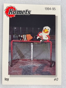 IHL 1994-95 Fort Wayne Komets Hockey Card #00-Icy