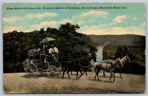 K19/ Burnside Monticello Kentucky Postcard c1910s Stage Line Stagecoach 404 - Picture 1 of 2