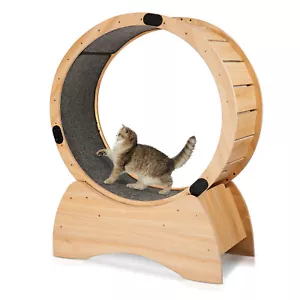 Katzentraining Rad für Fitness Gesund Indoor Katze Laufrad Teppich Runway - Bild 1 von 17