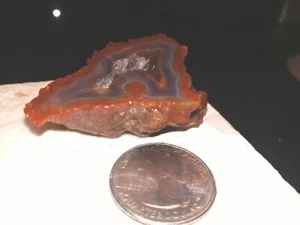 Laguna Agate Petite Rough polish Lap/Disp 29.1g Mexico (LA2367) - Picture 1 of 8