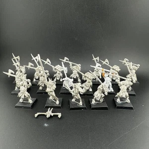 Warhammer Fantasy: Beasts Of Chaos- Herd Of 18 Bestigor (Metal) 25A3214 - Picture 1 of 3
