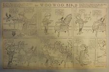 The Woo Woo Bird Sunday by H.C. Greening from 1909 Half Page Size (Very Funny!)