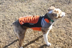 Touchdog Pro Outdoor Waterproof Reflective Jacket Teflon Vest Dog Clothes Coat - Picture 1 of 9