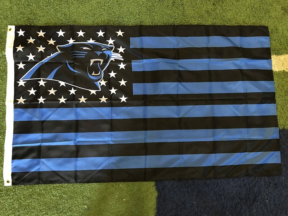 Carolina Panthers Americana Logo Bandera 3x5-Con Ojales Fútbol NFL Foto 1 de 1