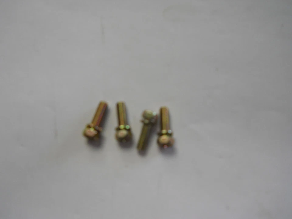 Juego de 4 tornillos para cortasetos Red Max genuino 0225-10516 / 022510516 (obsoleto) Foto 1 de 1